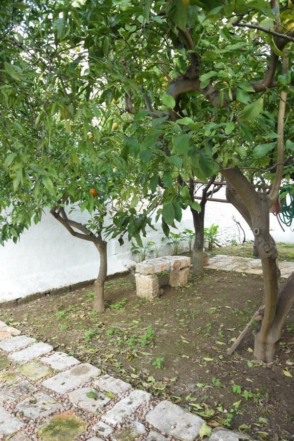 Dimora Le Zagare Apartment *