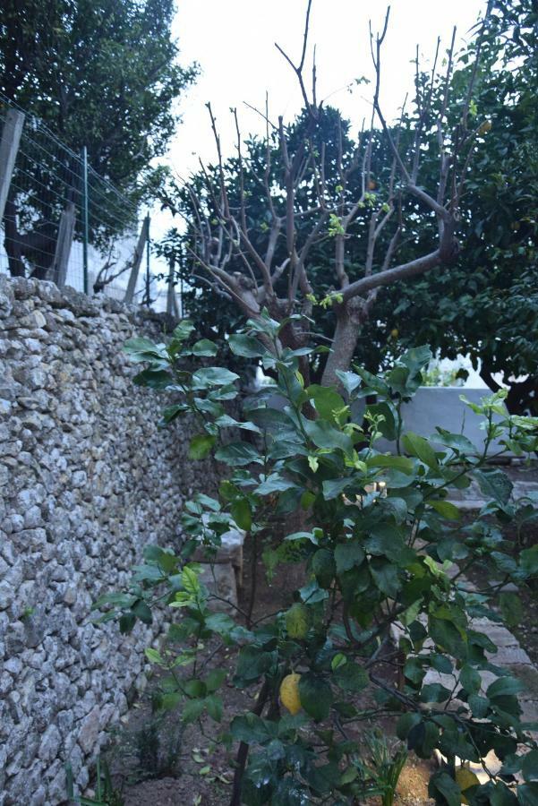 Apartment Dimora Le Zagare