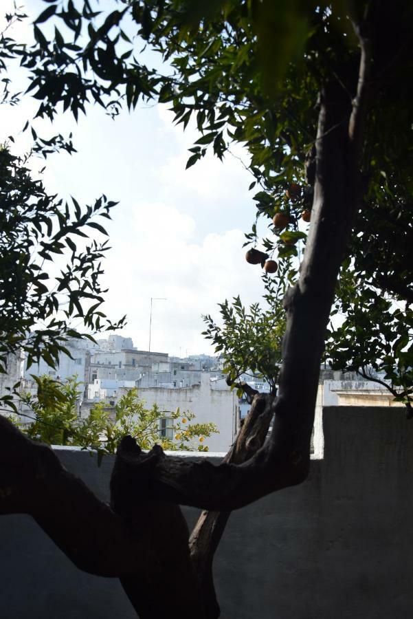Dimora Le Zagare Apartment *