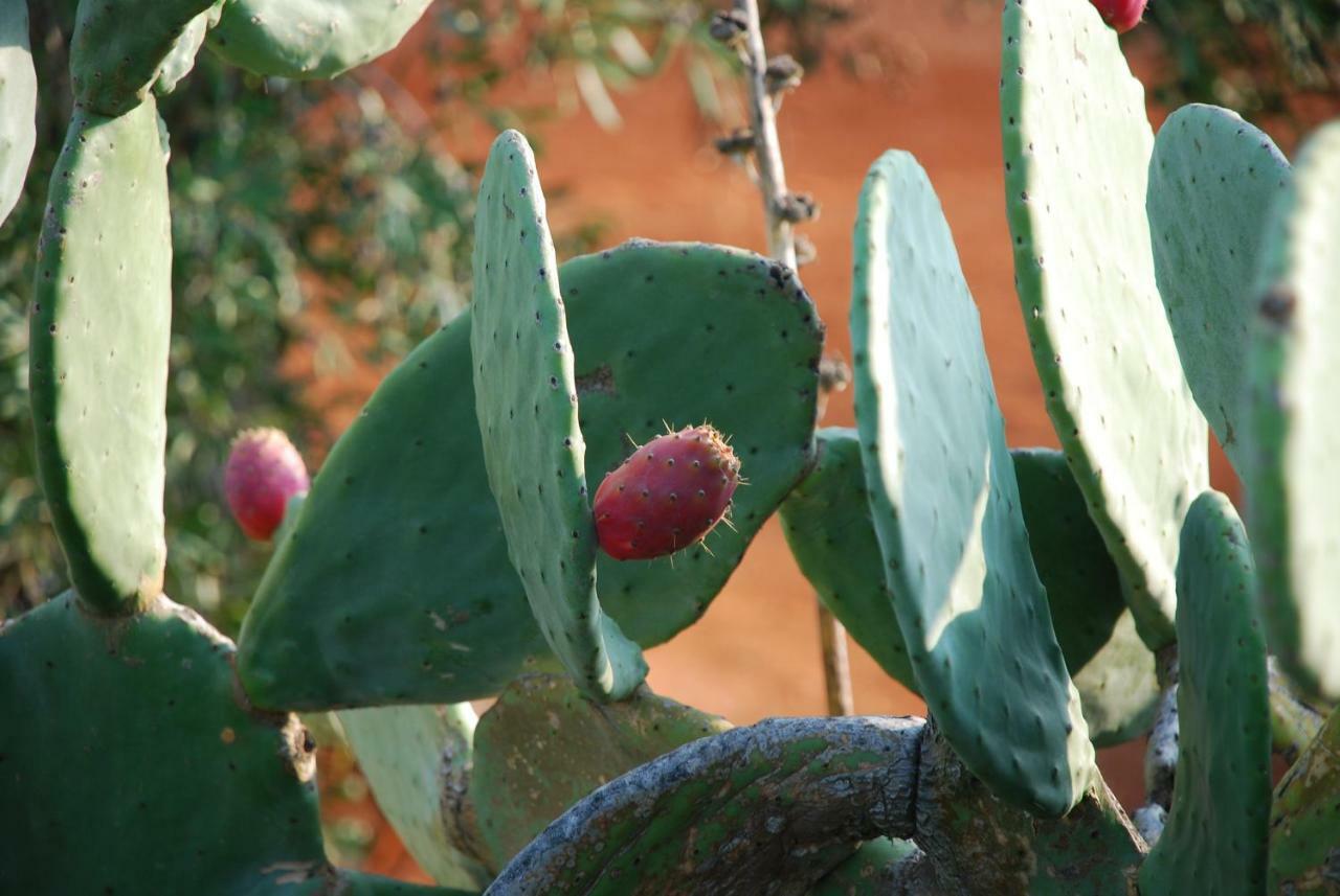Dimora Le Zagare * Ostuni