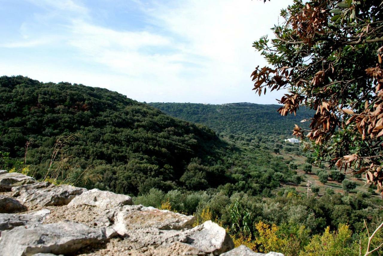 Dimora Le Zagare