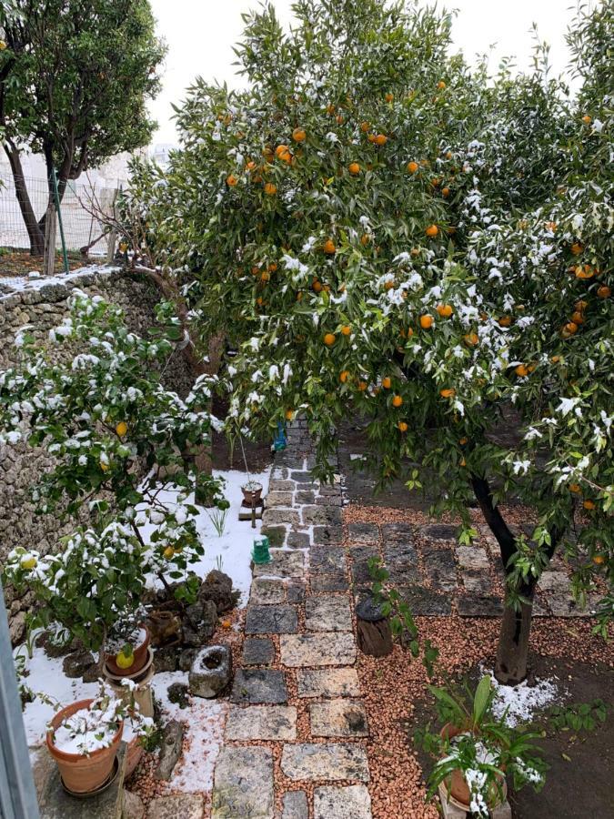 Dimora Le Zagare Apartment Ostuni